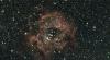 NGC 2174, the Monkey Head Nebula with surrounding stars