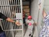 Some of the youth get "locked up" in the old jail cell