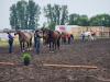 Western Show event, at 9:30 A.M. Friday. PortageOnline/ Tristen Sokolosky