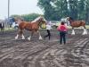 Draft Horses Also had their own competitions. PortageOnline/ Tristen Sokolosky
