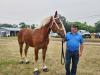Draft Horses Also had their own competitions. PortageOnline/ Tristen Sokolosky