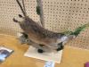 Exhibit Hall at the Carman Fair, showing off creative displays ranging from all different styles of art. PortageOnline/ Tristen Sokolosky