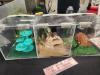Reptile Exhibit was unique to have at the fair, animals ranged from toxic to no-toxic. PoratgeOnline/ Tristen Sokolosky