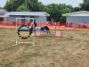 Dog agility course being shown and offered to those who wanted to partake with their dog, on Friday. PortageOnline/ Tristen Sokolosky