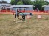 Dog agility course being shown and offered to those who wanted to partake with their dog, on Friday. PortageOnline/ Tristen Sokolosky