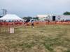 Dog agility course being shown and offered to those who wanted to partake with their dog, on Friday. PortageOnline/ Tristen Sokolosky