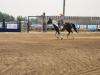 Burn n' Turn was a Morning delight to watch for families. PortageOnline/ Tristen Sokolosky