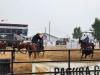 Team Penning. PortageOnline/ Tristen Sokolosky