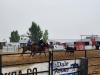 Team Penning. PortageOnline/ Tristen Sokolosky