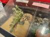 Exotic Reptiles were a hit at the fair, kids enjoyed coming and visiting the critters. PortageOnline/ Tristen Sokolosky
