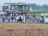 Bull riding make the crowds cheer. PortageOnline/ Tristen Sokolosky