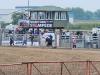 Bull riding make the crowds cheer. PortageOnline/ Tristen Sokolosky
