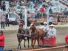 Chuckwagon races, were faster then people thought, crowd cheers on their favourites. PortageOnline/ Tristen Sokolosky
