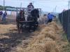 threshing competitions