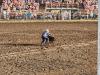 Cattle Roping