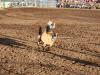Bronco Riding