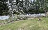 Photo by Glenn Rogers taken on 16th Street in Weyburn