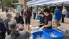 Taste of Summer Charity BBQ