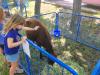 Petting Zoo made a wonderful addiition to the activites under the shade.