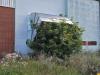 Photos of the old Campbell's Soup Factory in Portage la Prairie, currently in disrepair. (3) PORTAGEONLINE / TYLOR BAER