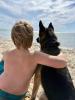 Celebrate Summer 2025 family fun