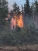 Northern Fires