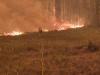 Northern Fires