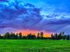 SUNSET_Lana Cherry.jpg