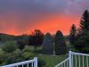 SUNSET_Laurie Abell Smith.jpg