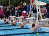 swimmers in a pool