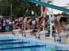 swimmers on a starting block