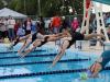 swimmers diving