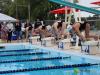 swimmers swimming