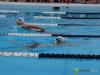 swimmers swimming