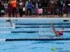 swimmers in a lane