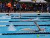 swimmers in lanes