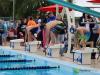 swimmers on starting blocks
