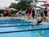 swimmers diving