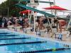 swimmers swimming