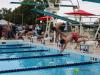 swimmers diving