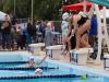swimmers diving
