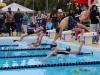 swimmers in motion