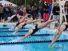 swimmers diving