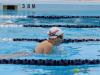 swimmers swimming