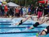 swimmers diving