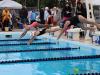 swimmers swimming