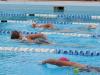 swimmers swimming