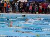 swimmers swimming