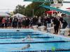 swimmers in a lane