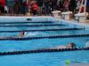 swimmers in a lane